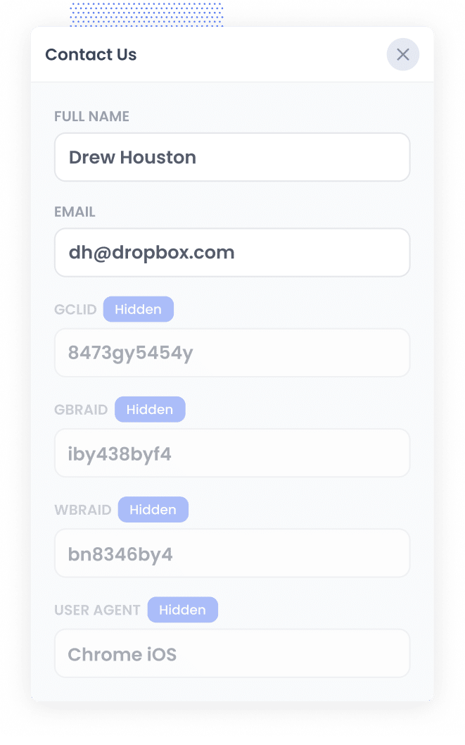 Google Ads data in Hidden Fields